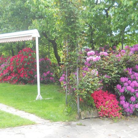 Albergo Negritella Borgo Valsugana ภายนอก รูปภาพ