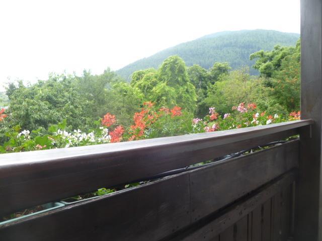 Albergo Negritella Borgo Valsugana ภายนอก รูปภาพ